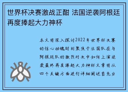 世界杯决赛激战正酣 法国逆袭阿根廷再度捧起大力神杯 世界杯决赛激战正酣 法国逆袭阿根廷再度捧起大力神杯