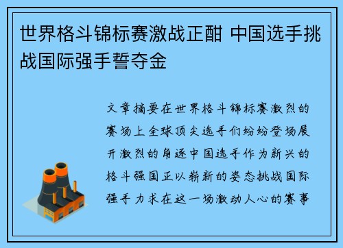 世界格斗锦标赛激战正酣 中国选手挑战国际强手誓夺金 世界格斗锦标赛激战正酣 中国选手挑战国际强手誓夺金